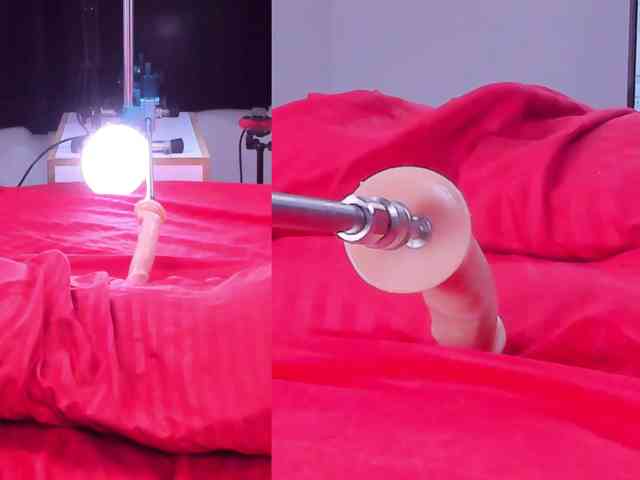 Cattleya-Annie webcam