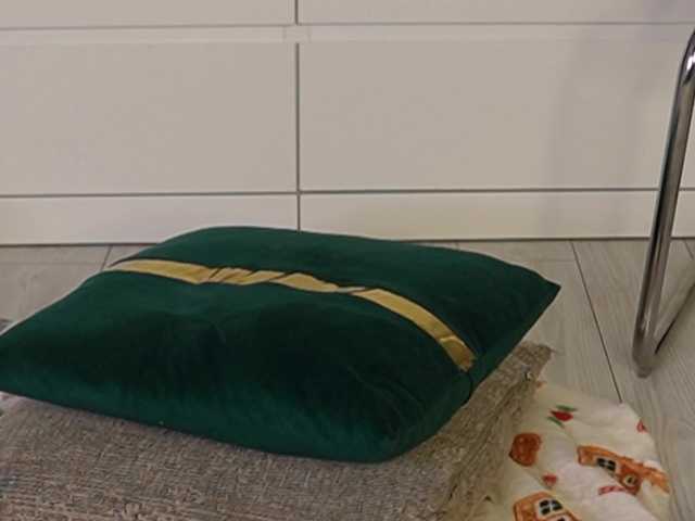 Miss-Denisse's BongaCams show and profile