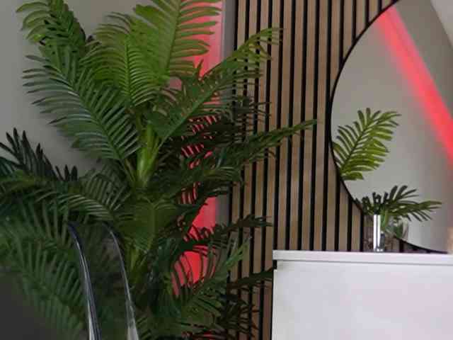 Miss-Denisse Miss-Denisse