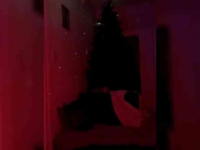 Venezuelao Venezuelao