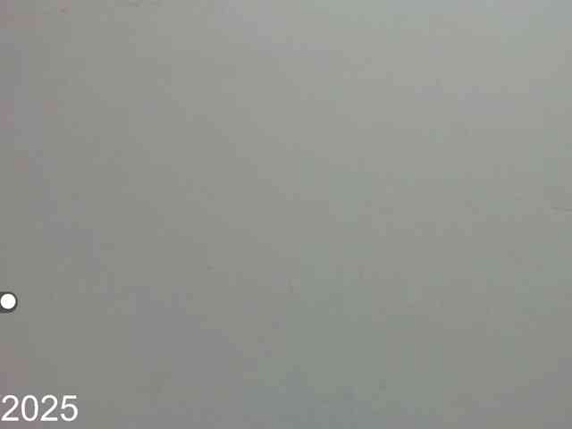 Dahianfox7 Live Webcam on BongaCams