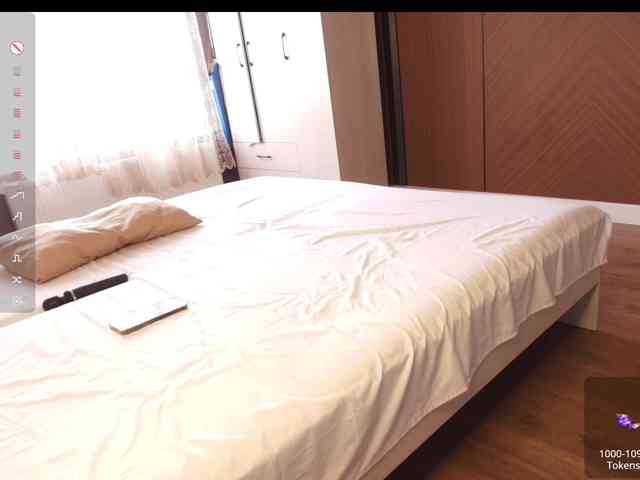 melissalemi melissalemi