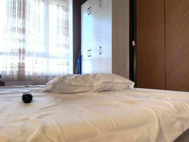 melissalemi melissalemi