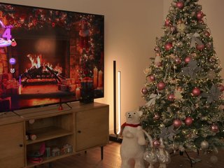 SoftSunday Porn Show