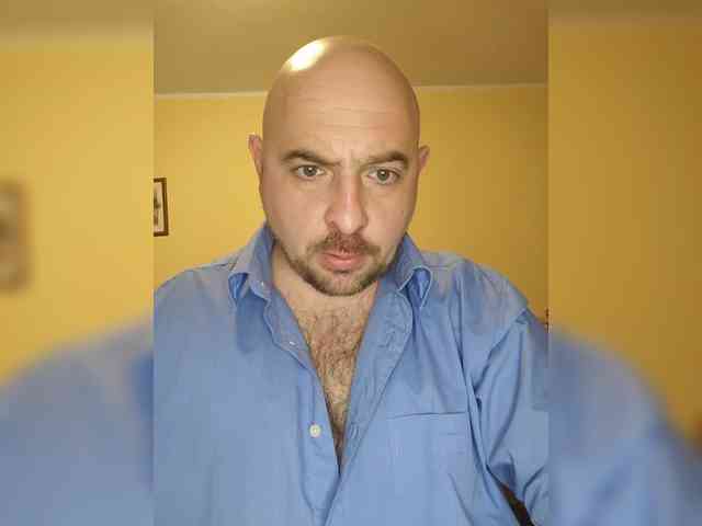 WerewolfAlfa1 WerewolfAlfa1