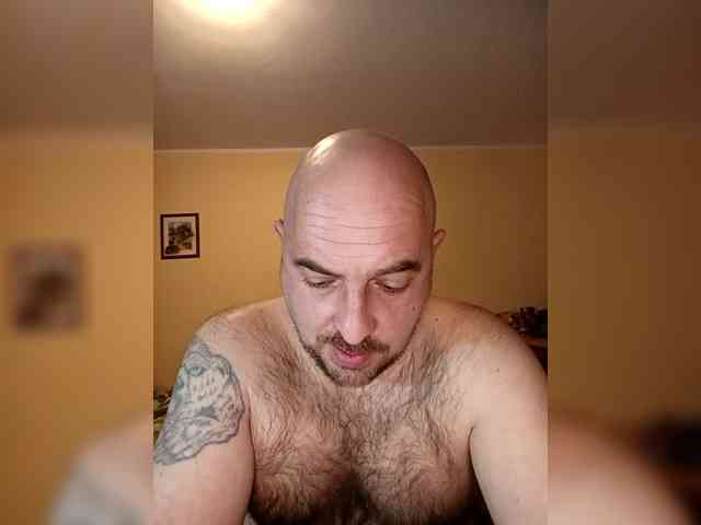 WerewolfAlfa1 WerewolfAlfa1