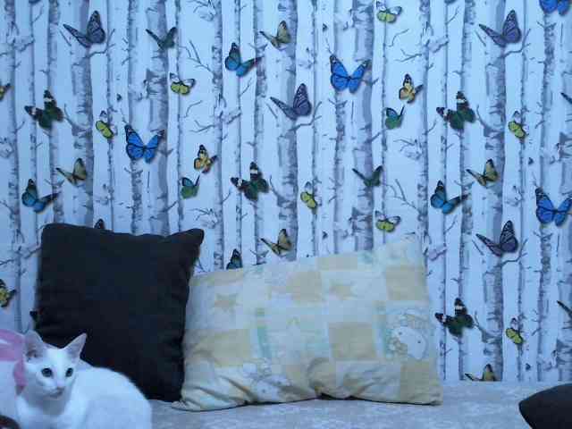 MochaCream21 MochaCream21