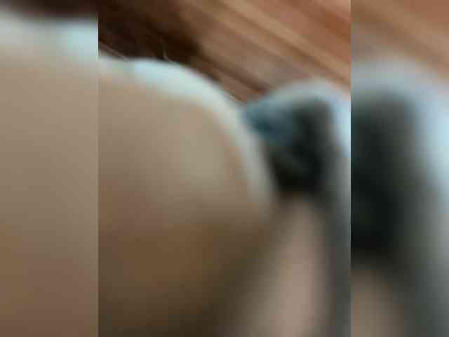 menigaddemb menigaddemb