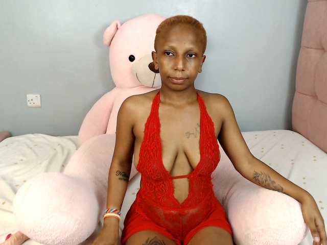 sunflower- cam belle