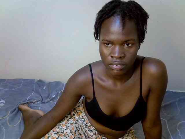 HoneyTease HoneyTease