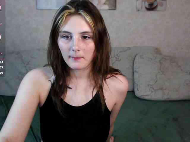 Helen-Gren webcam