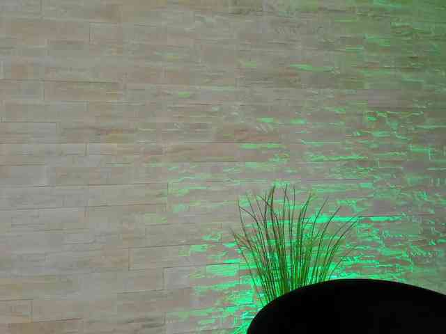 BellaNoire BellaNoire