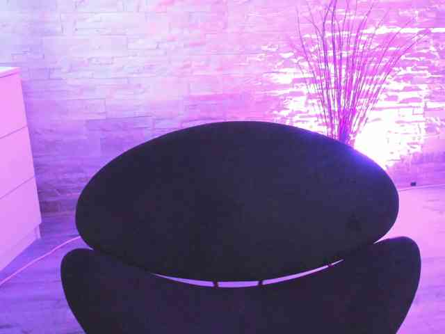 BellaNoire BellaNoire