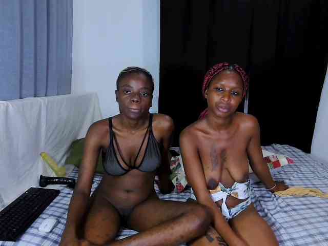 WickedWildCats webcam