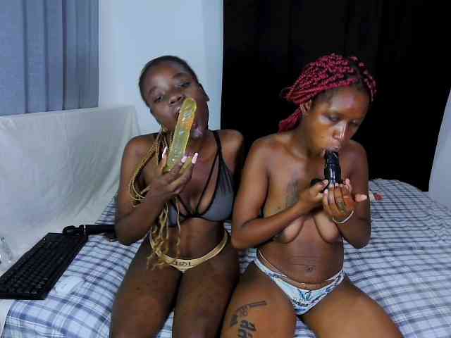 WickedWildCats webcam