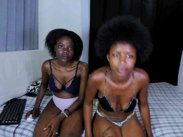 WickedWildCats WickedWildCats