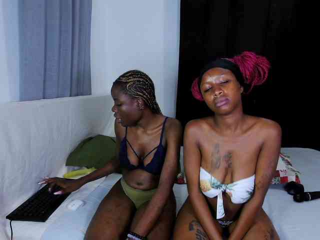 WickedWildCats webcam