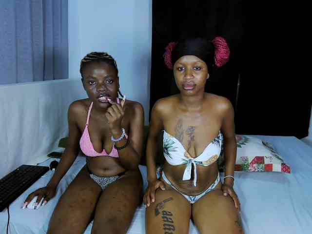 WickedWildCats webcam