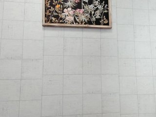 ocean-lady Porn Show