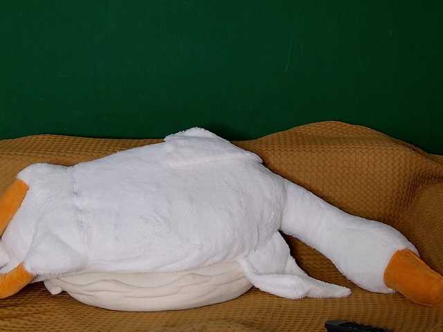 jane-booblegum's BongaCams show and profile