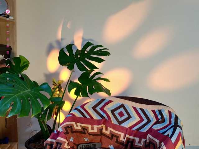 jane-booblegum's BongaCams show and profile