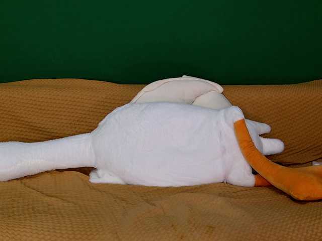 jane-booblegum live cam