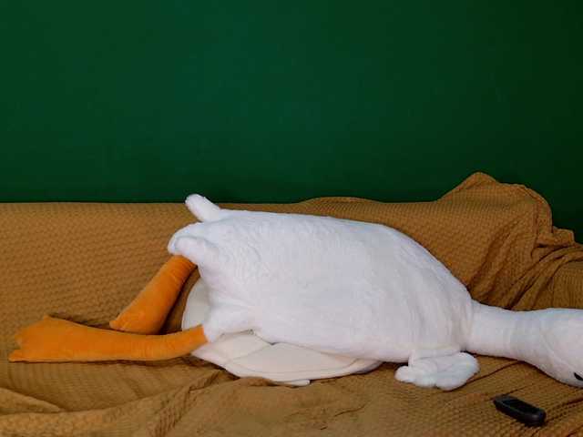 jane-booblegum's BongaCams show and profile