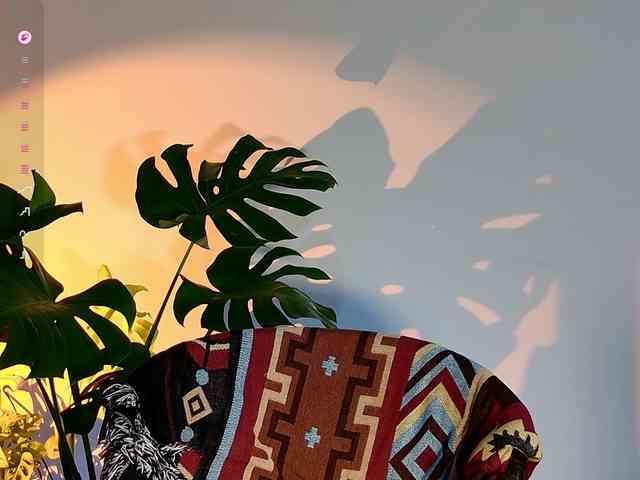 jane-booblegum Live Webcam on BongaCams