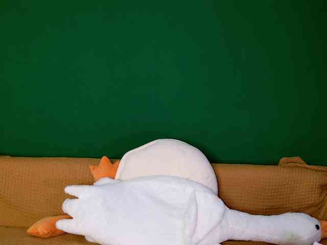 jane-booblegum webcam