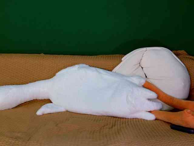 jane-booblegum webcam