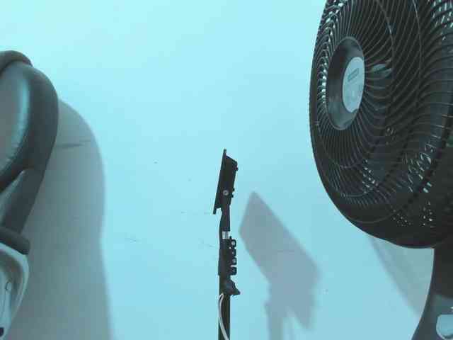 violeta-delavega1 violeta-delavega1