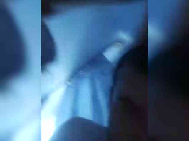 Kissa-Kotenok Kissa-Kotenok