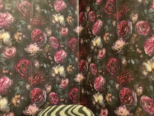 tylerdavidcreator tylerdavidcreator