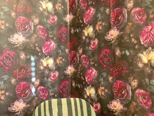 tylerdavidcreator tylerdavidcreator