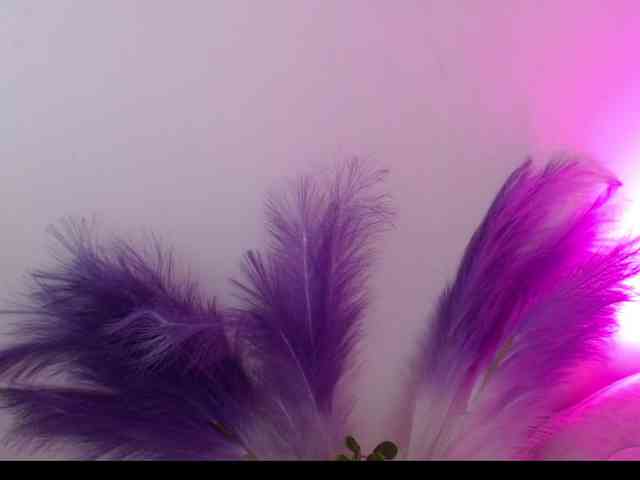 Queen-Rosee Live Webcam on BongaCams