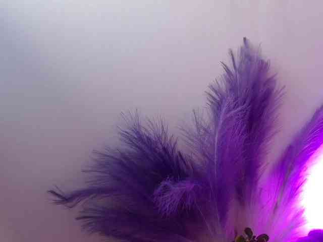 Queen-Rosee Queen-Rosee