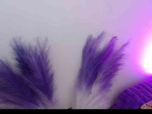 Queen-Rosee Queen-Rosee