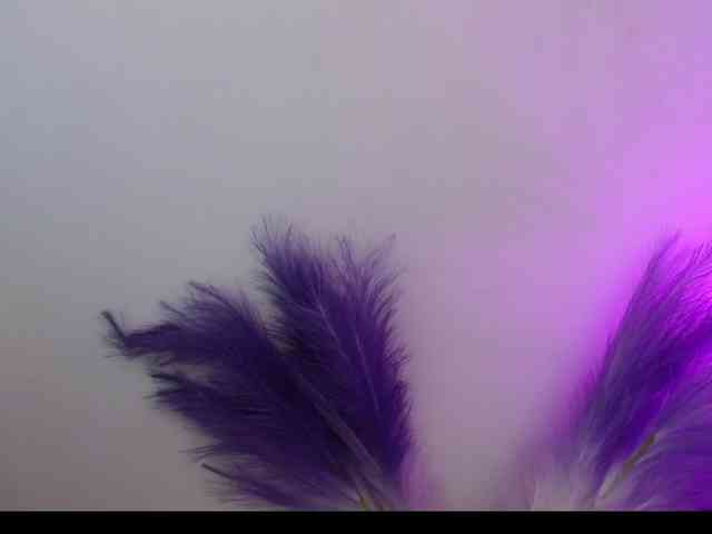 Queen-Rosee Queen-Rosee