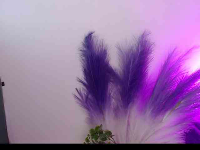 Queen-Rosee Queen-Rosee