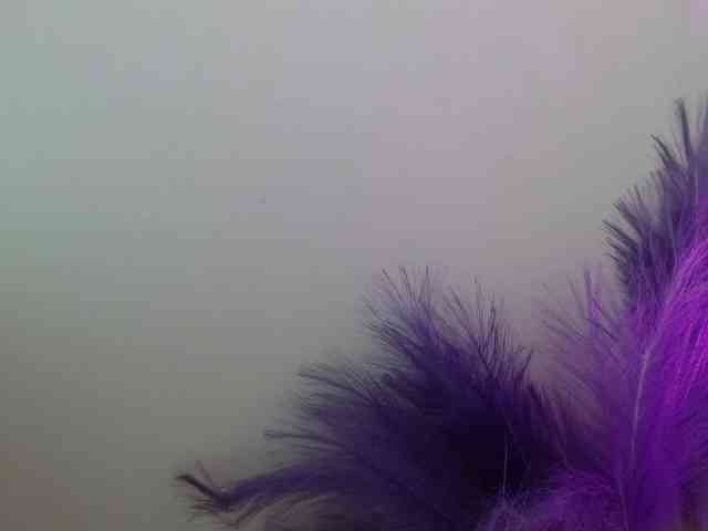 Queen-Rosee Queen-Rosee