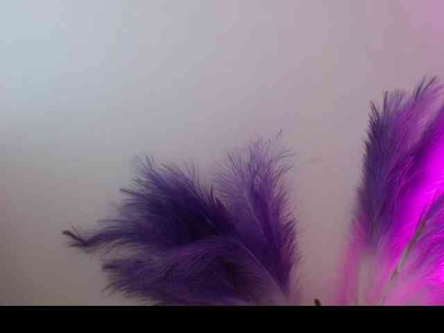 Queen-Rosee Queen-Rosee