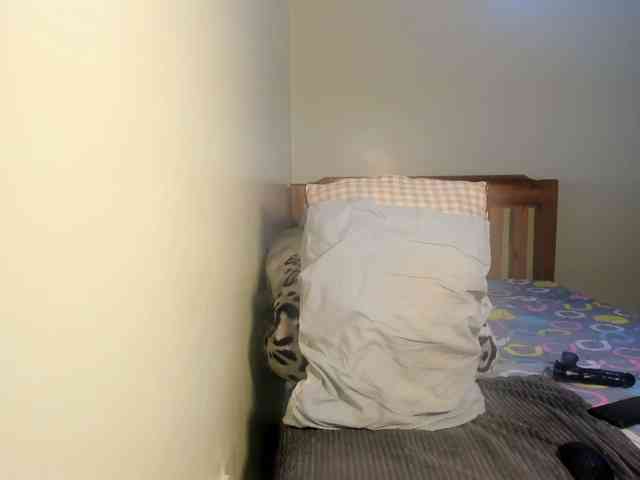 LureNoir24 LureNoir24