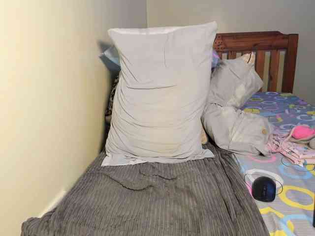 LureNoir24 LureNoir24