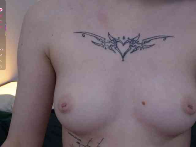 LucyKitten LucyKitten