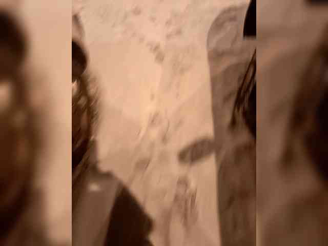 Panzer2317 Live Webcam on BongaCams