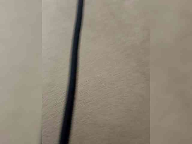 Panzer2317 Panzer2317