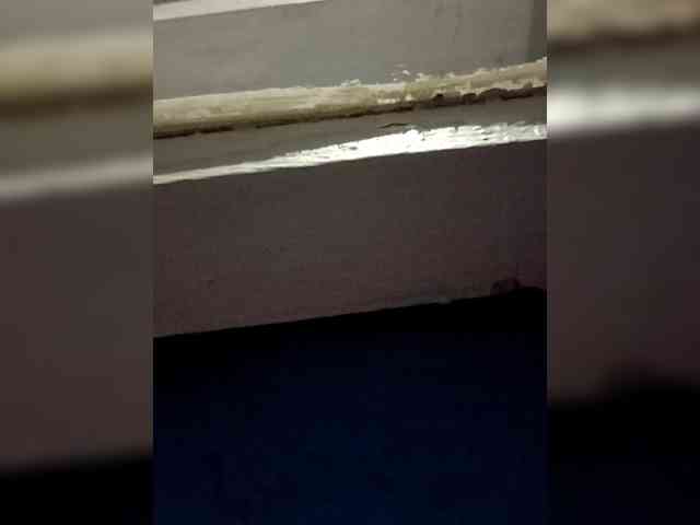 Panzer2317 Panzer2317