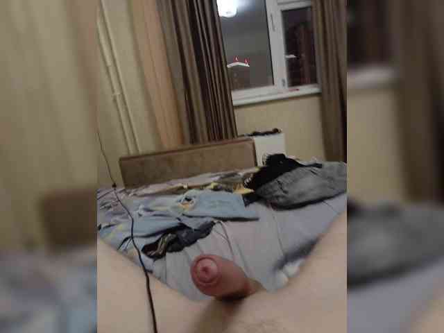 Panzer2317 Panzer2317