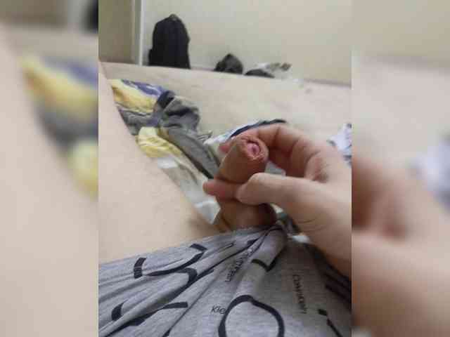 Panzer2317 Panzer2317