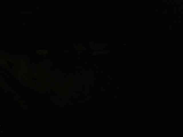 PerlaJhonsonRs webcam